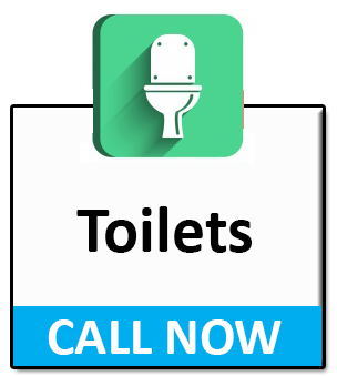 Blocked toilets